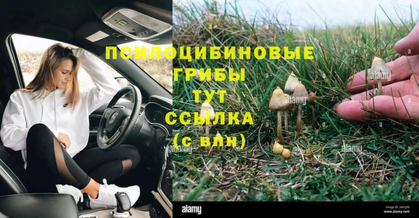 хмурый Абинск