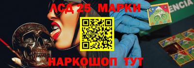 mdpv Бердск