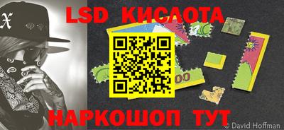 mdpv Бердск
