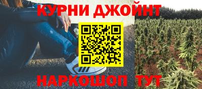 mdpv Бердск