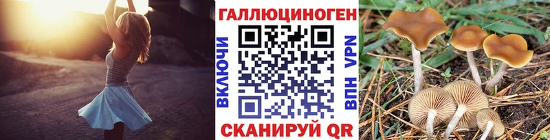 Псилоцибиновые грибы мицелий  Великий Новгород 
