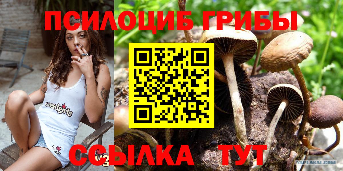 Псилоцибиновые грибы Magic Shrooms Великий Новгород