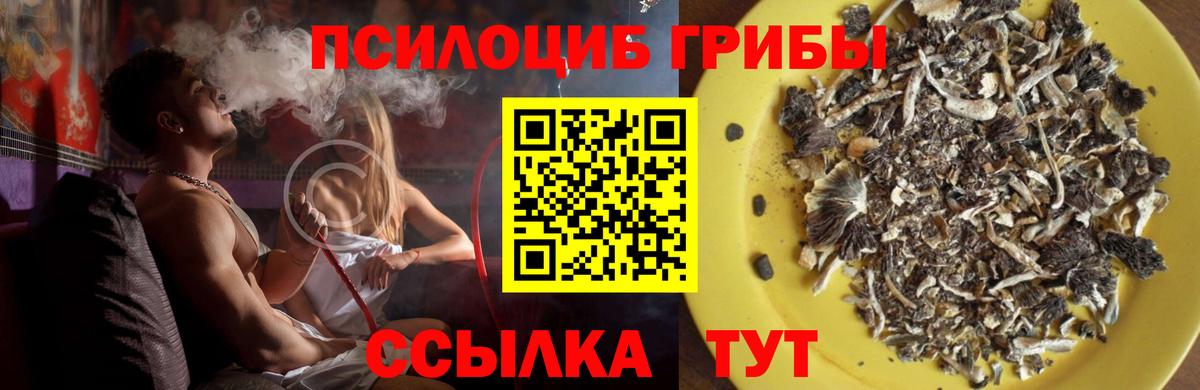сколько стоит  Галлюциногенные грибы Cubensis  Вход с VPN  Великий Новгород 